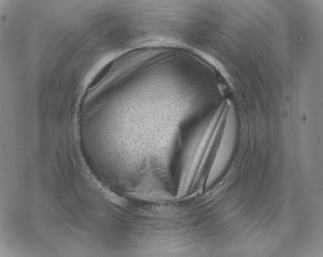 X0000071851375200607211841