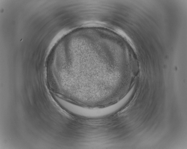 X0000071851376200607211841