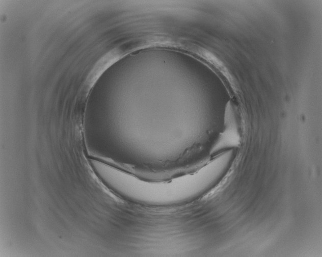 X0000071851377200607211841