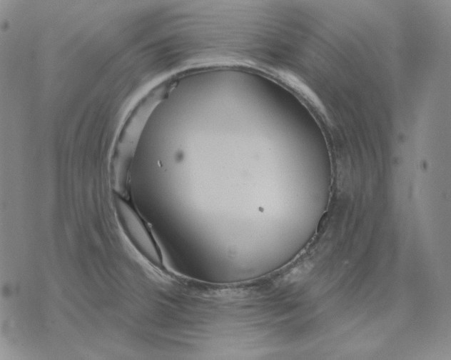 X0000071851380200607211841