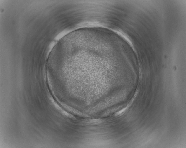 X0000071851382200607211841