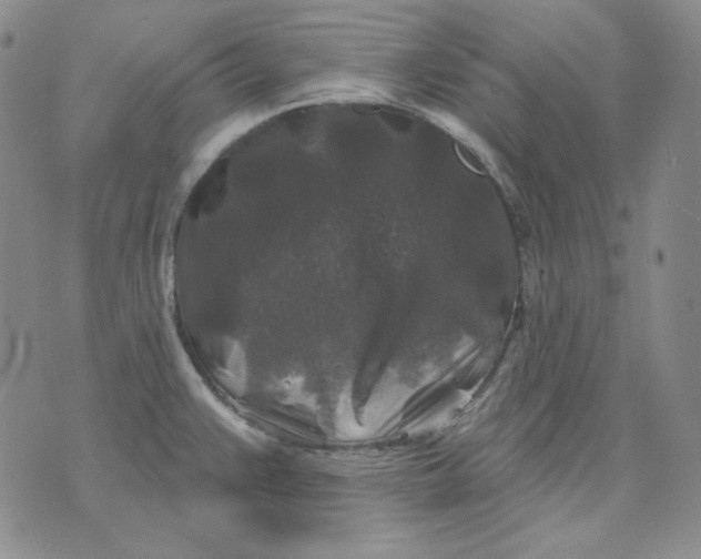 X0000071851383200607211841