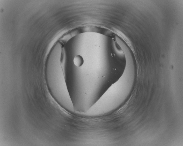 X0000071851384200607211841