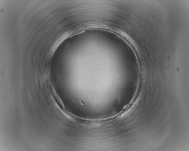 X0000071851385200607211841