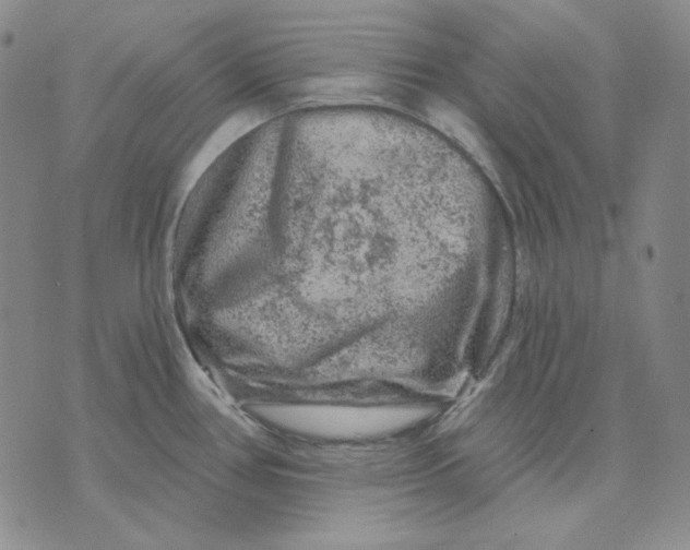 X0000071851386200607211841