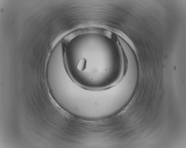 X0000071851388200607211841