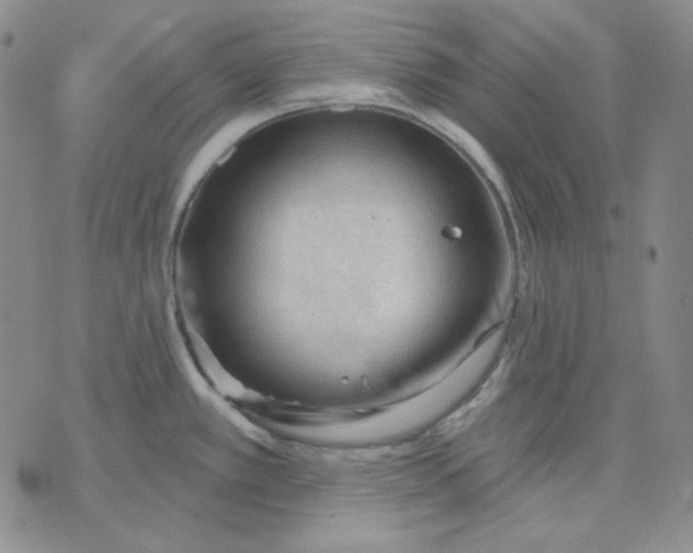 X0000071851389200607211841