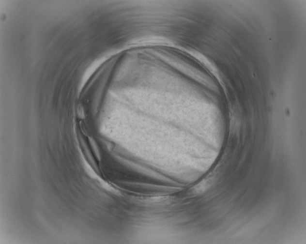 X0000071851390200607211841