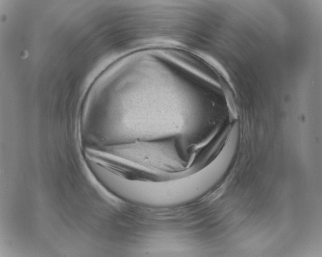 X0000071851391200607211841