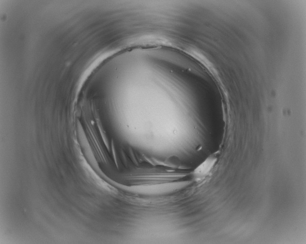 X0000071851392200607211841