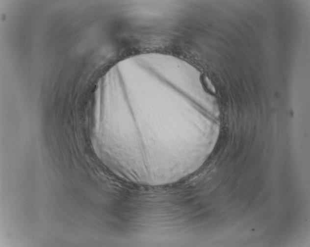 X0000071851393200607211840