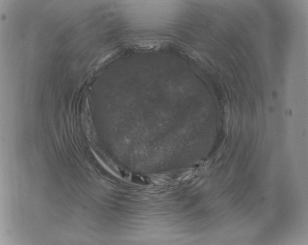 X0000071851394200607211840