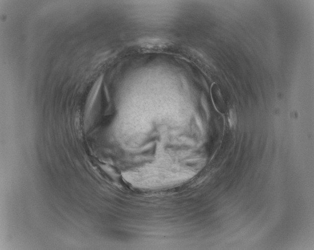 X0000071851396200607211840