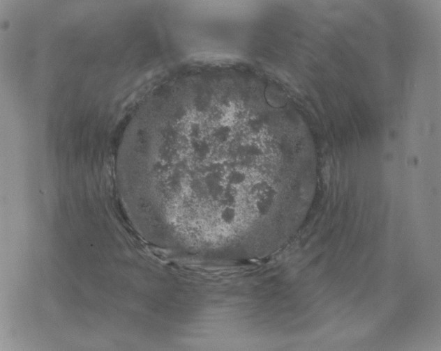 X0000071851397200607211840