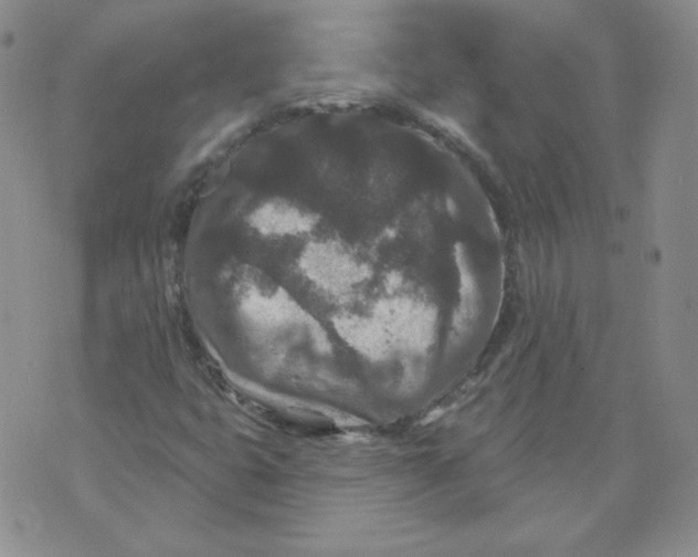 X0000071851399200607211841