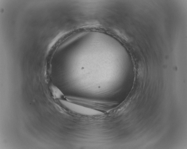 X0000071851400200607211841