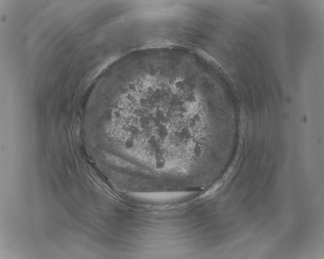 X0000071851401200607211841