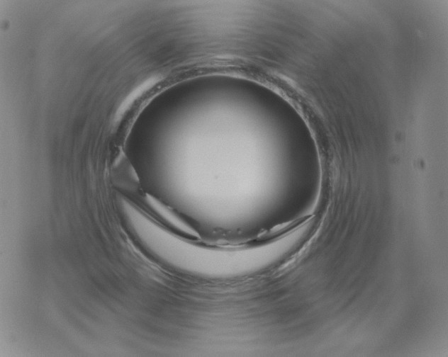 X0000071851402200607211841