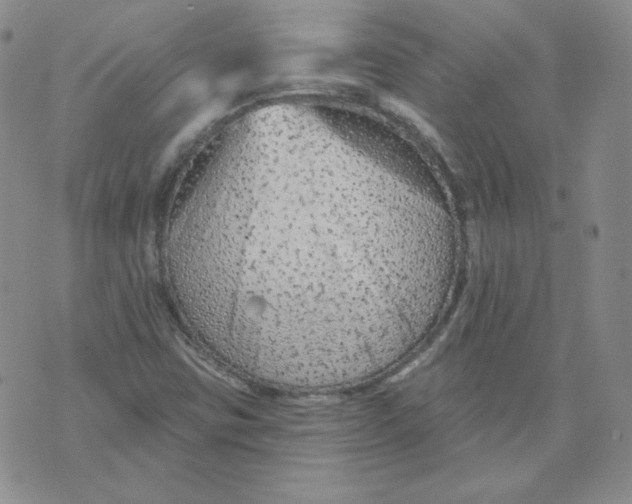 X0000071851403200607211841