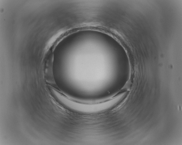 X0000071851406200607211841