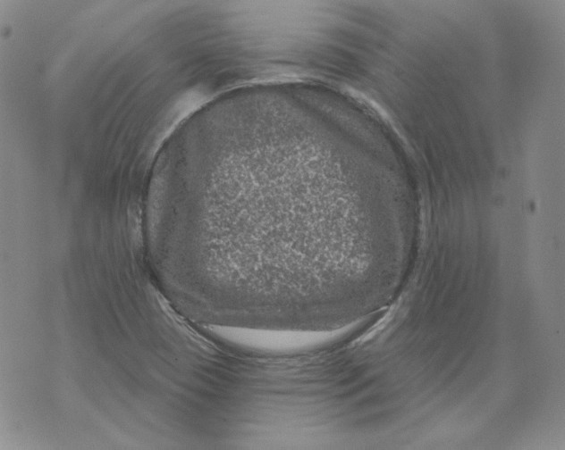 X0000071851409200607211841