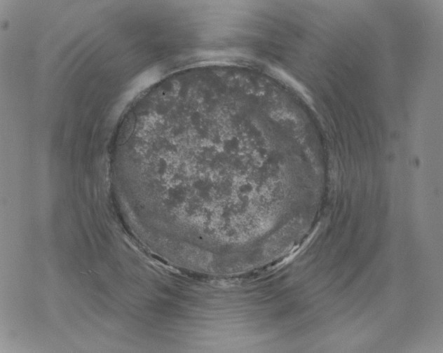 X0000071851411200607211841