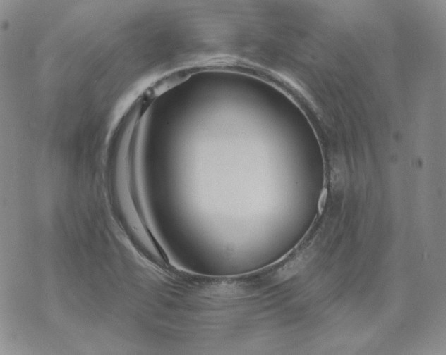 X0000071851414200607211841