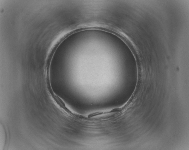 X0000071851416200607211841