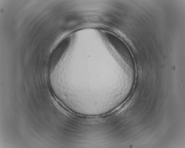 X0000071851417200607211841