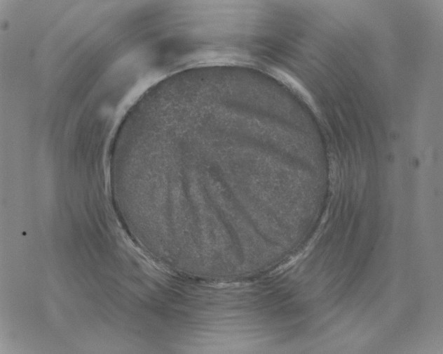 X0000071851419200607211841