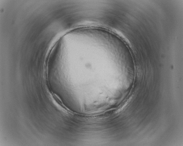 X0000071851421200607211841