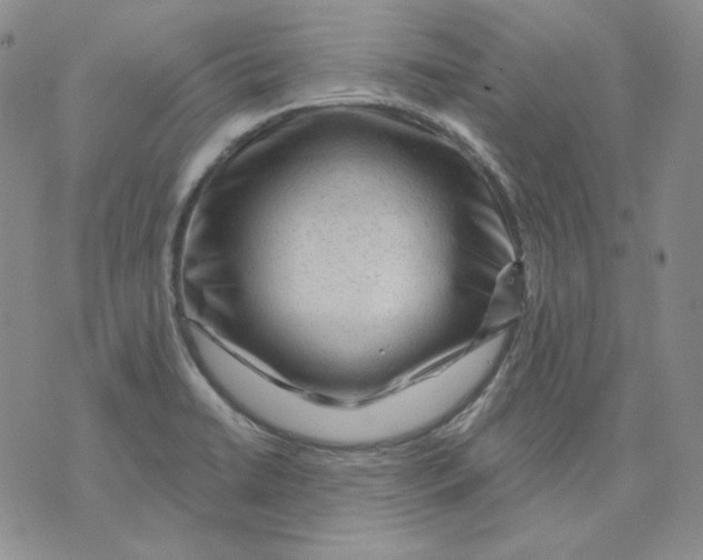 X0000071851422200607211841