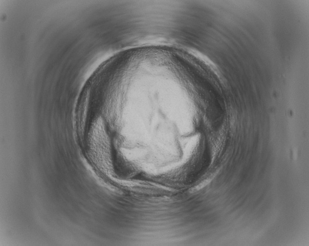 X0000071851423200607211841