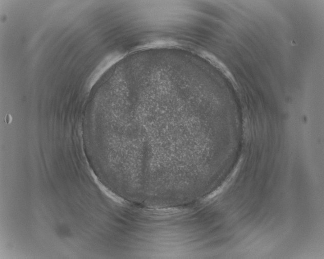 X0000071851425200607211841