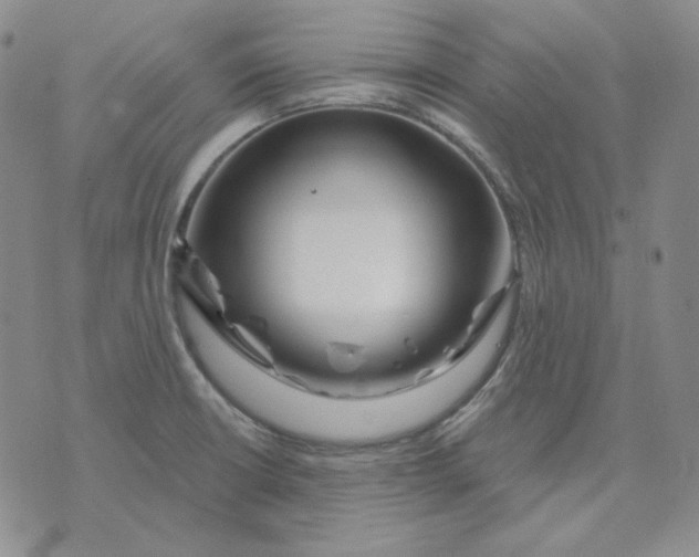 X0000071851426200607211841