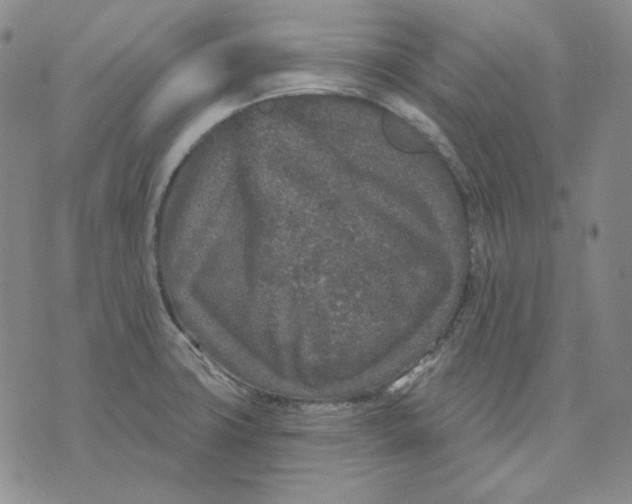 X0000071851427200607211841