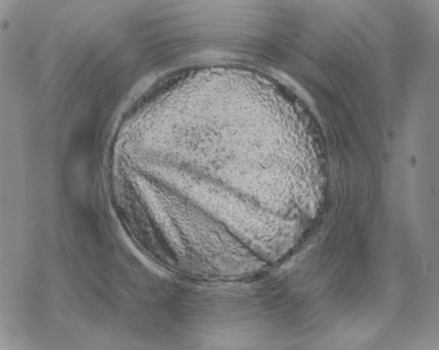 X0000071851429200607211841