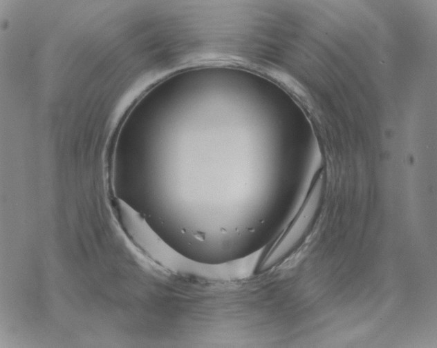 X0000071851430200607211841