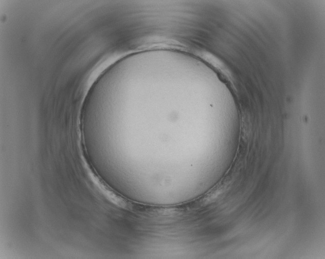 X0000071851431200607211841