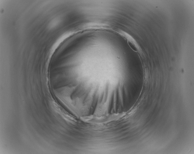 X0000071851435200607211841