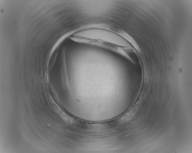 X0000071851436200607211841