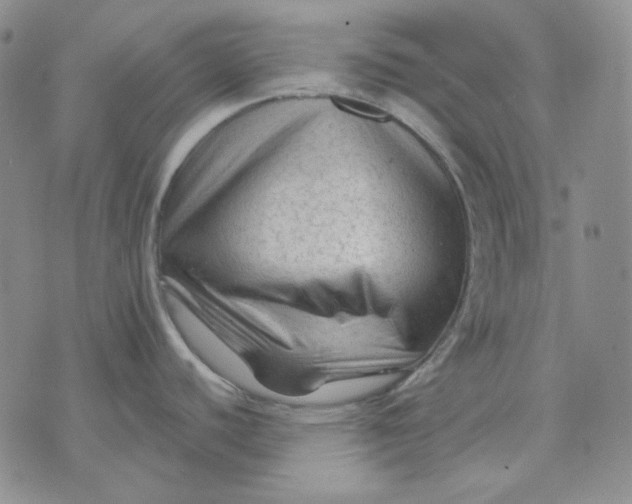 X0000071851440200607211841