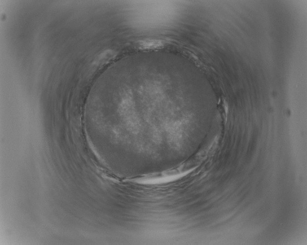 X0000071851441200607211840