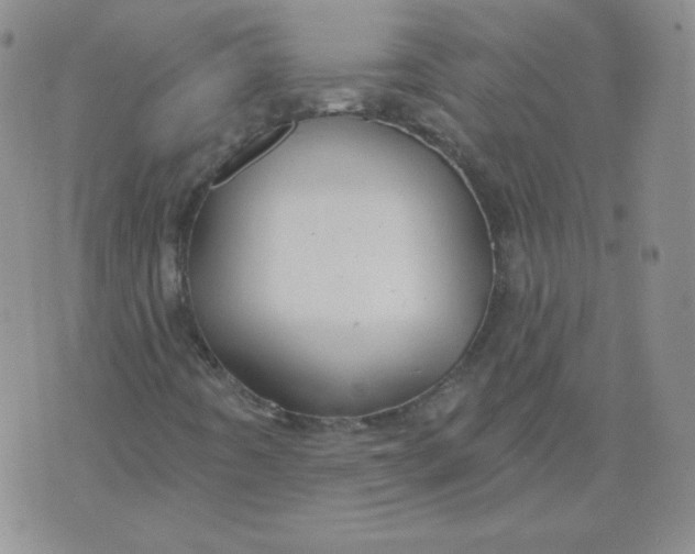 X0000071851442200607211840