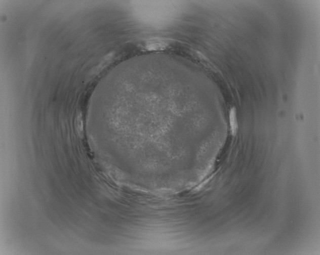 X0000071851443200607211840