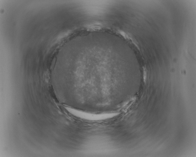 X0000071851445200607211840