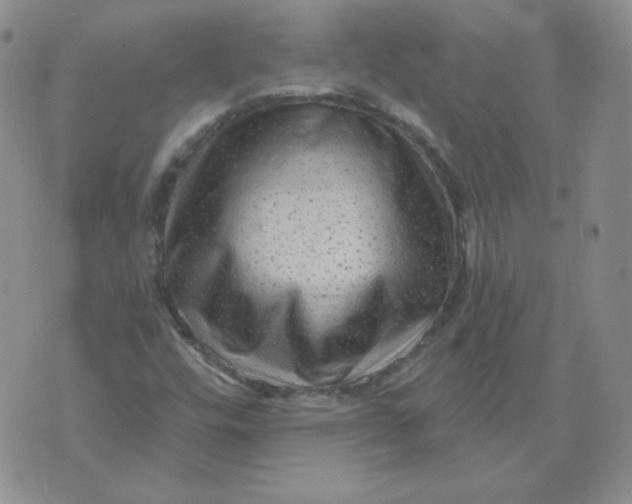 X0000071851448200607211840