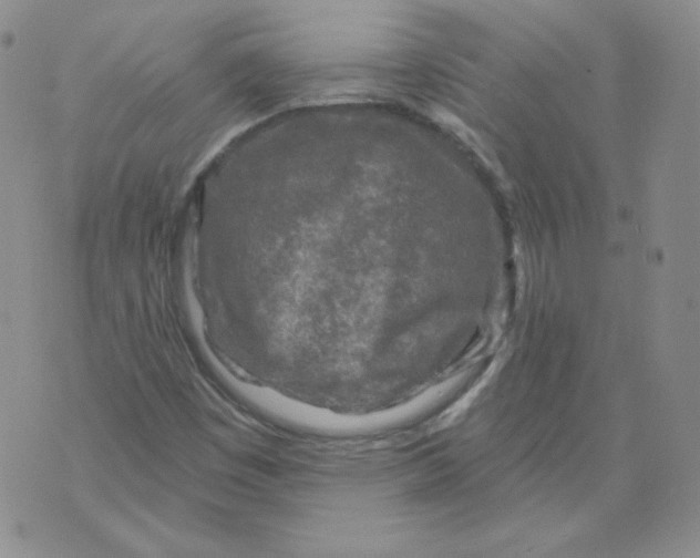 X0000071851449200607211840