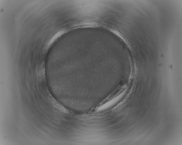 X0000071851450200607211840