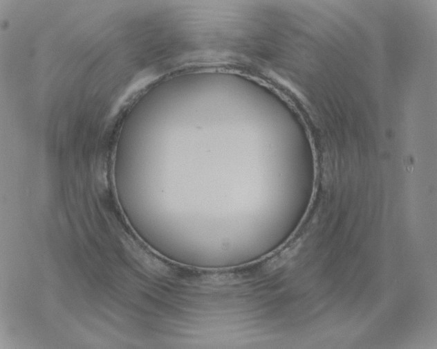 X0000071851451200607211840